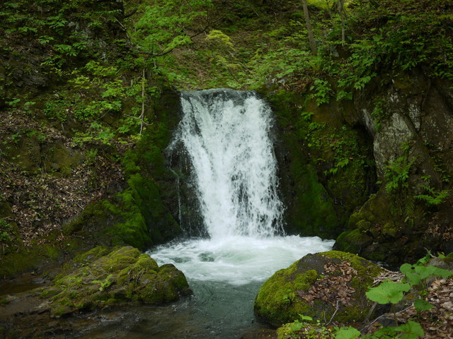 P1110056a.jpg