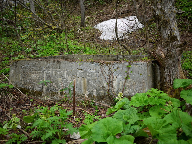 P1110066a.jpg