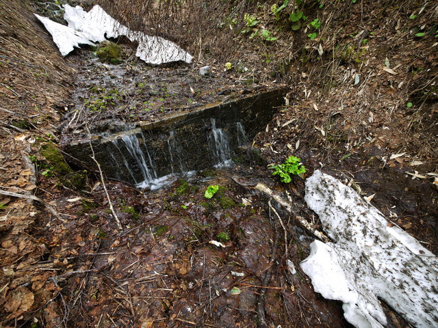 P1110099a.jpg