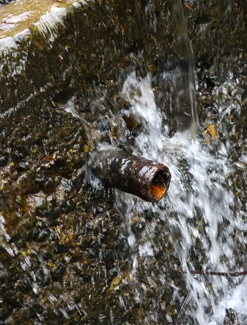 P1110100a.jpg