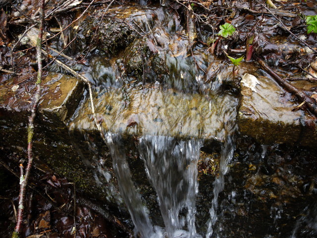 P1110101a.jpg