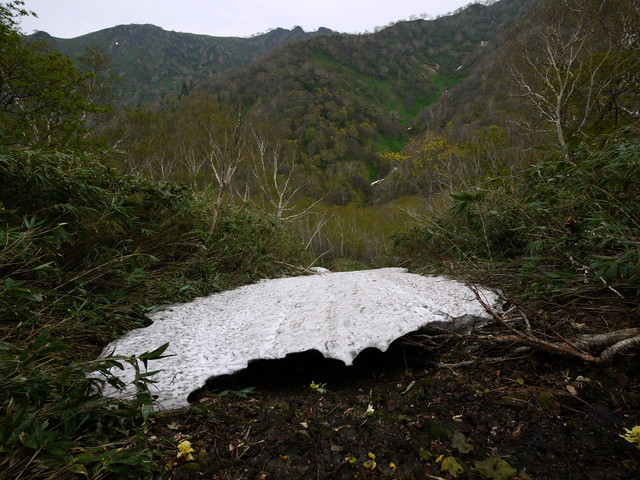 P1110111a.jpg