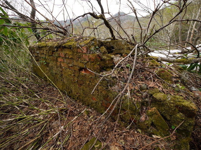 P1110118a.jpg