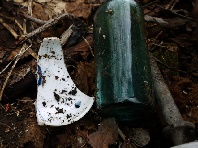 P1110126a.jpg