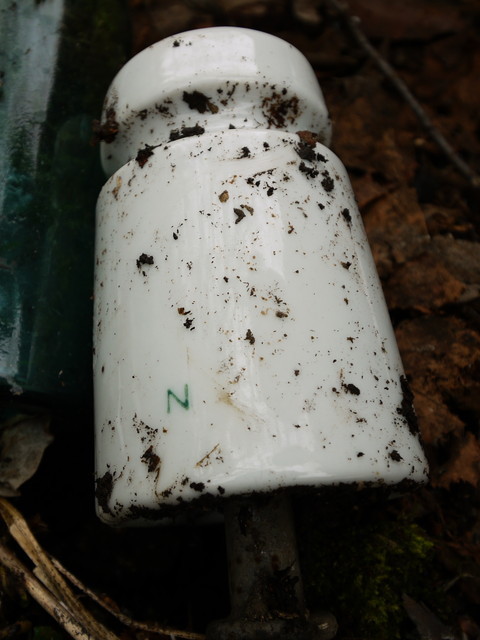 P1110128s.jpg