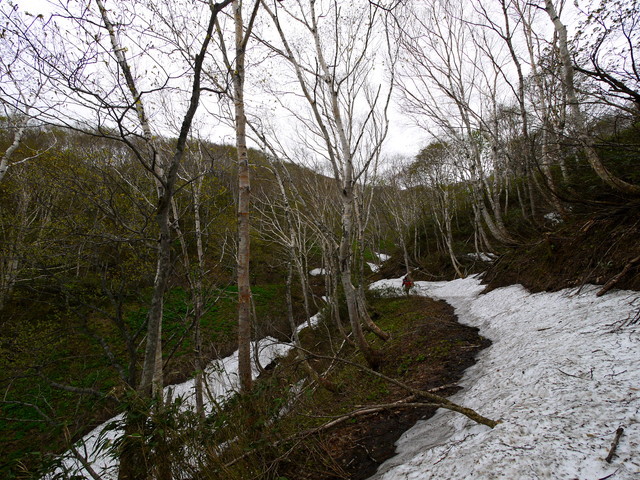 P1110143a.jpg