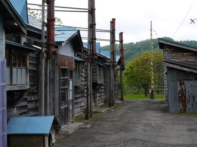 P1110329a.jpg