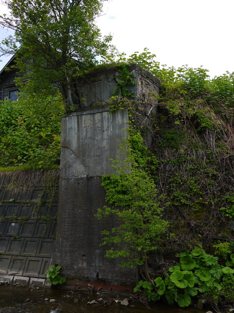 P1110376a.jpg