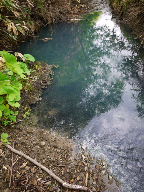 P1110542a.jpg