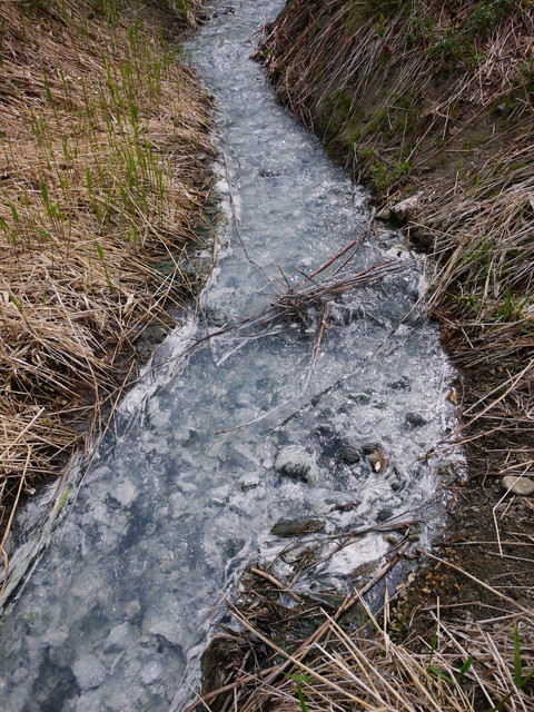 P1110549a.jpg