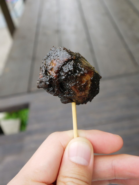 P1110575a.jpg