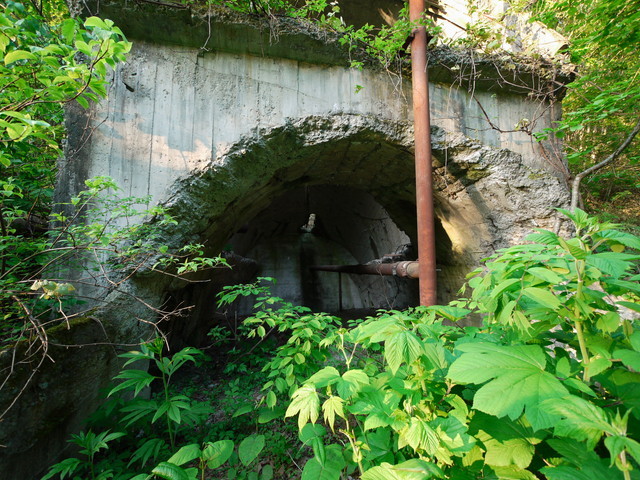 P1110739a.jpg