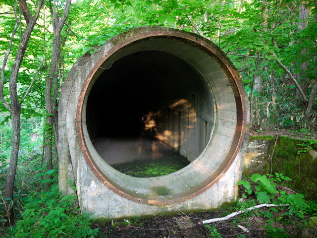 P1110744a.jpg
