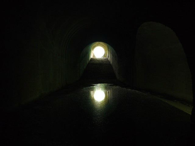P1110781a.jpg