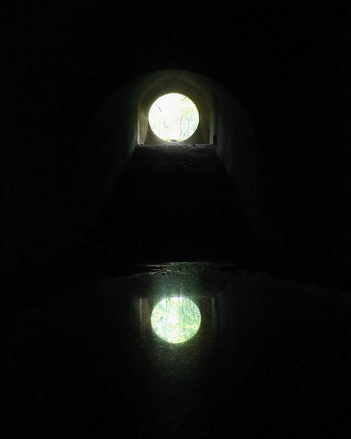 P1110794a.jpg