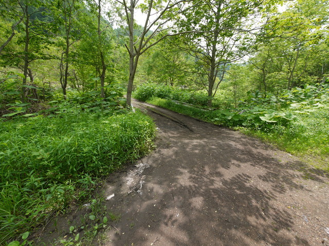 P1110857.jpg