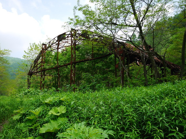 P1110862a.jpg