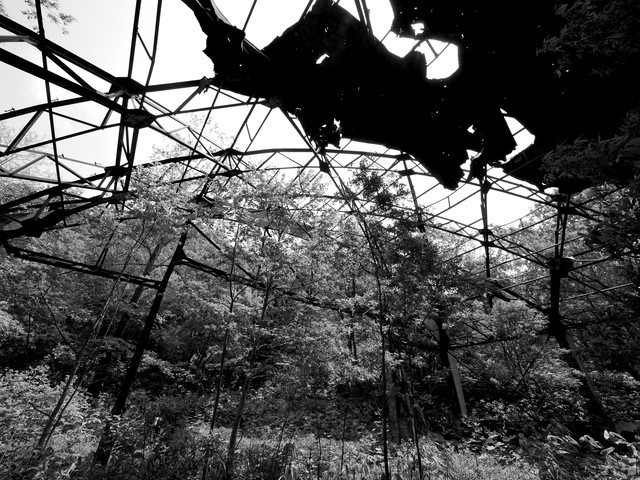 P1110897a.jpg