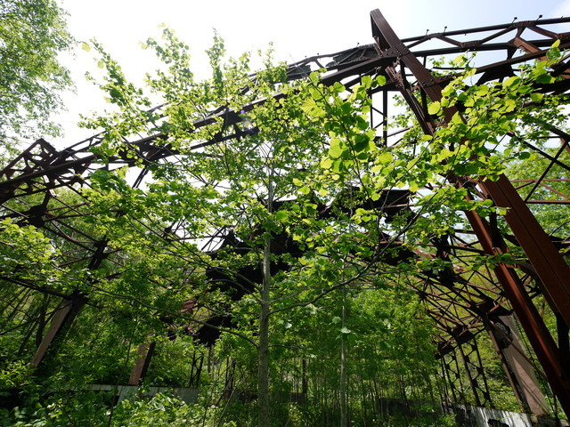 P1110900a.jpg