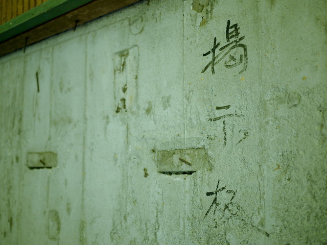 P1110988a.jpg