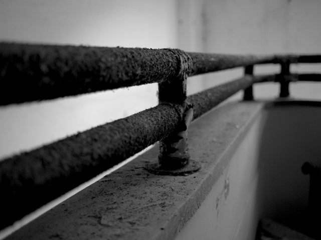 P1120009a.jpg