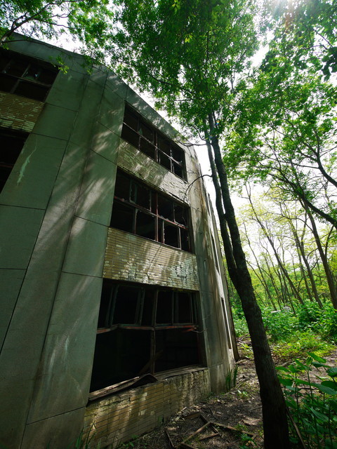 P1120064a.jpg