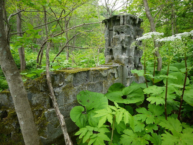 P1120072a.jpg