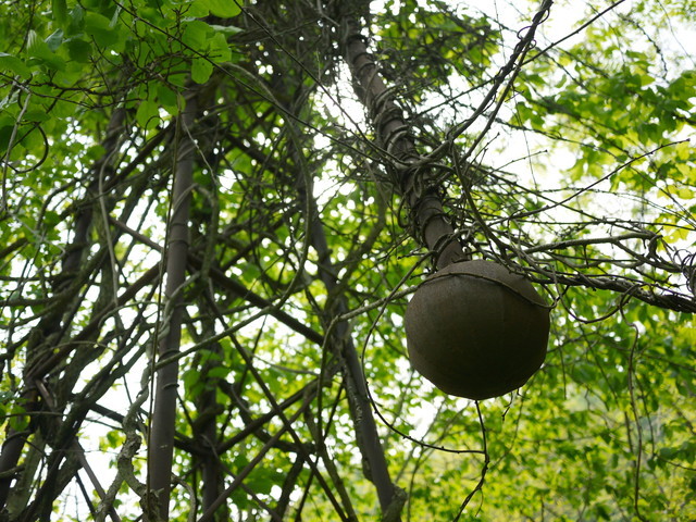 P1120081a.jpg