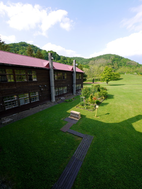 P1120210a.jpg