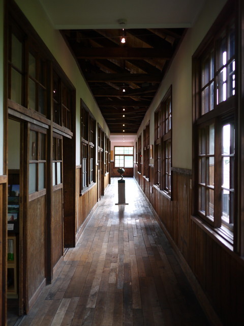 P1120256a.jpg