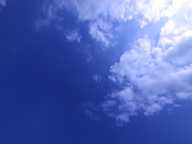 P1120261a.jpg