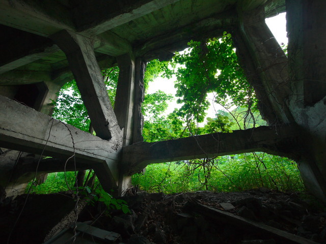P1120317a.jpg