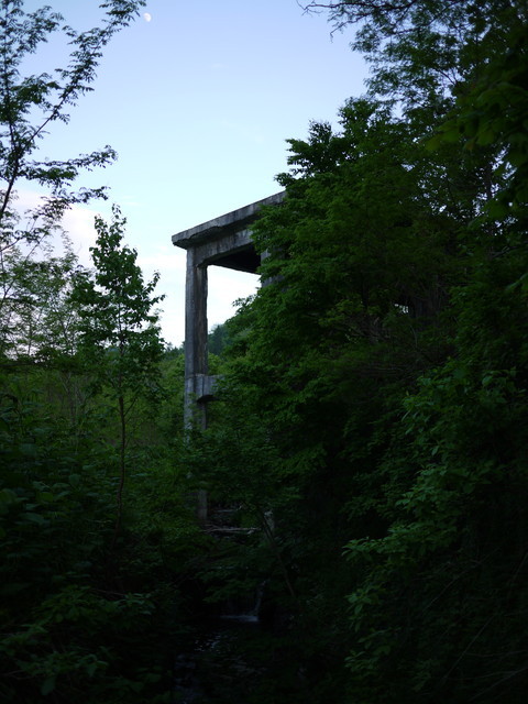 P1120364.jpg
