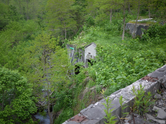 P1120390.jpg