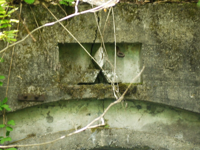 P1120581a.jpg