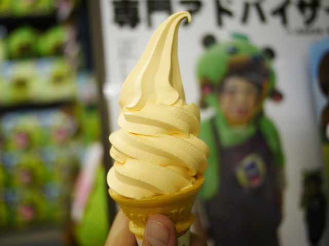 P1120685a.jpg
