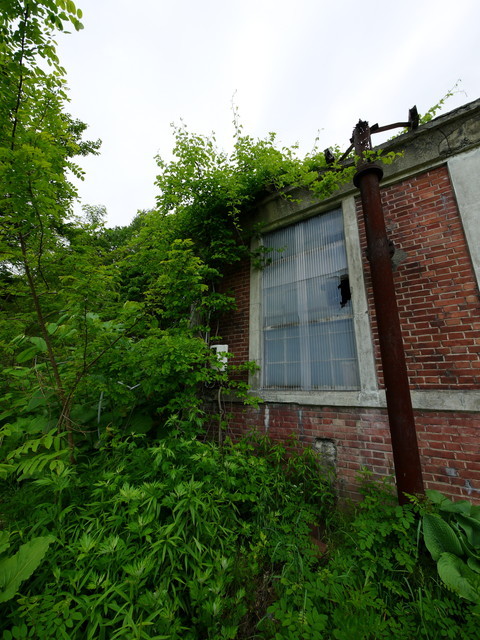 P1130075a.jpg