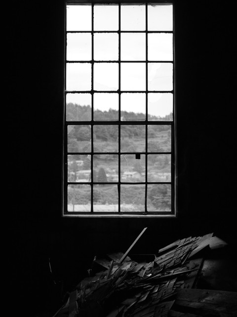 P1130099a.jpg