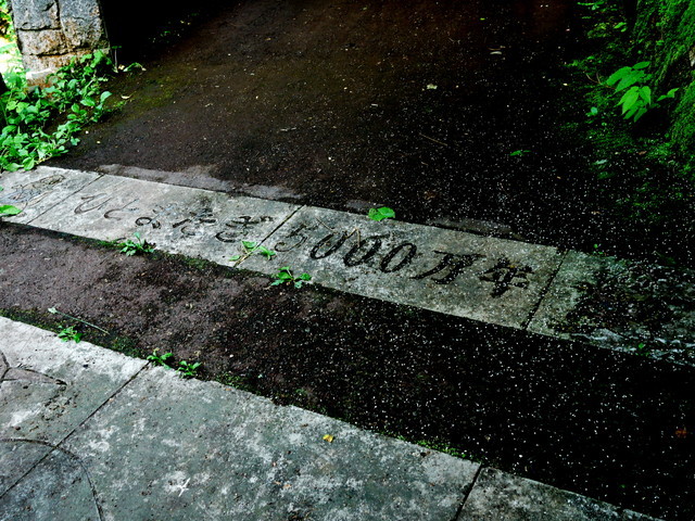 P1130766a.jpg