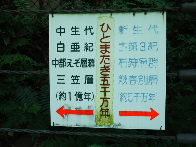 P1130767a.jpg