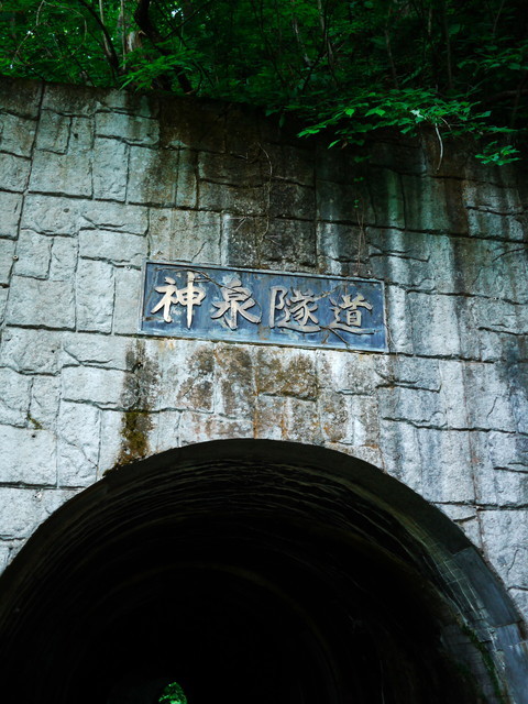 P1130776a.jpg