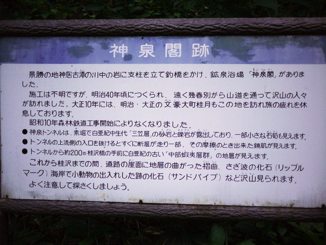P1130782a.jpg