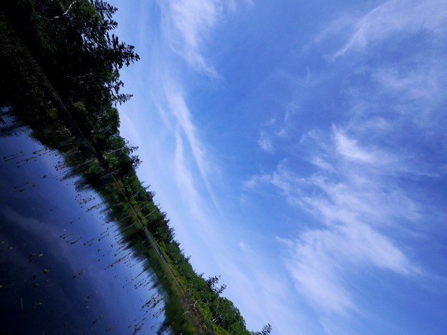 P1140410a.jpg