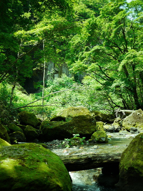 P1150007a.jpg