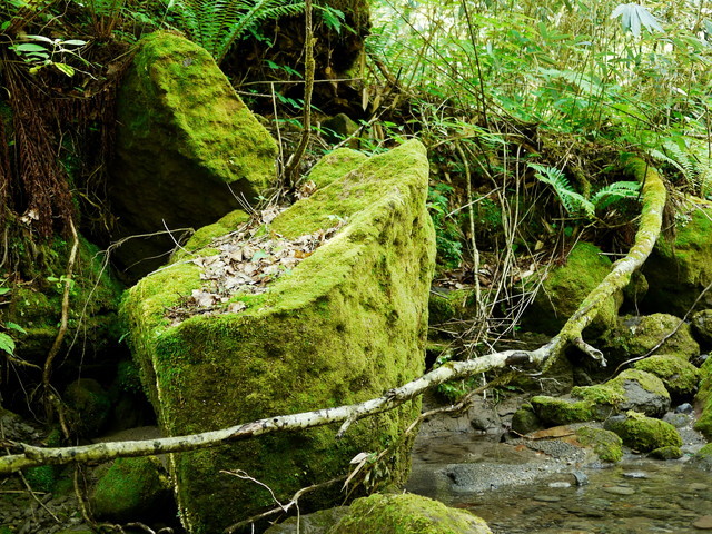 P1150017a.jpg