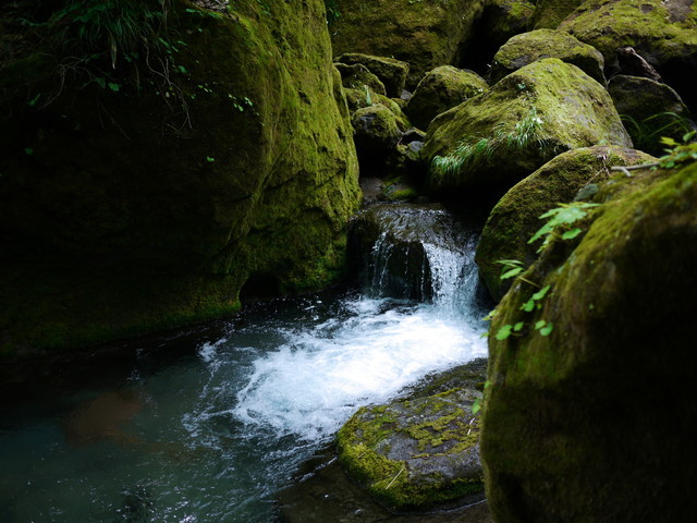 P1150029a.jpg