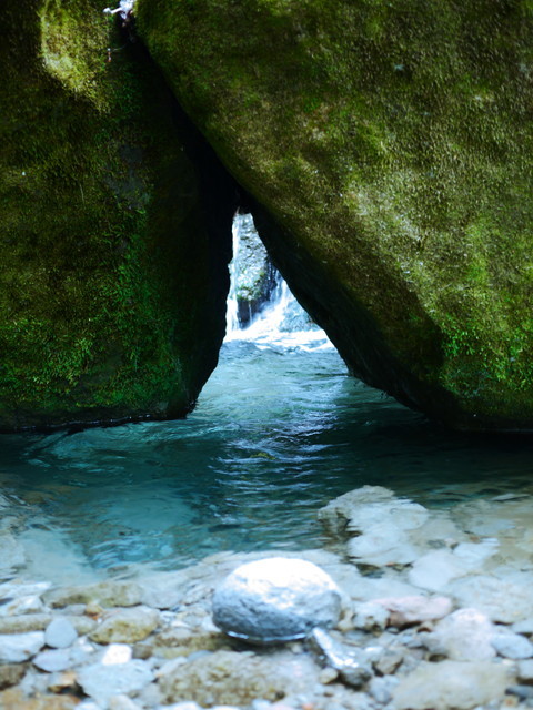 P1150035a.jpg
