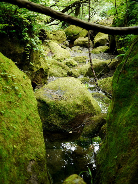 P1150038a.jpg