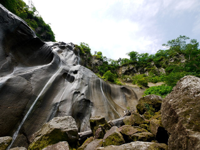 P1150120a.jpg