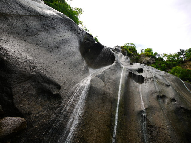 P1150158a.jpg